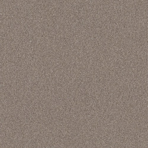 BOSSA NOVA in Pashmina Carpet