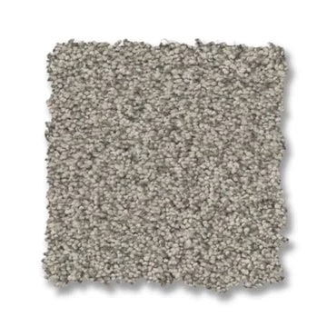 Moth Gray