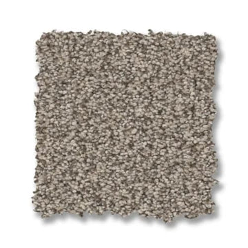 Pashmina