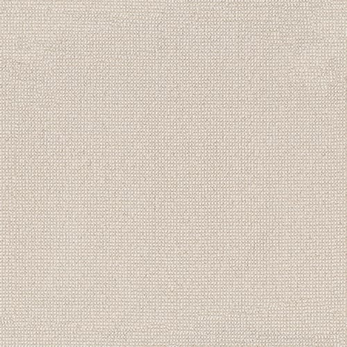 Alluring in Ivory Carpet