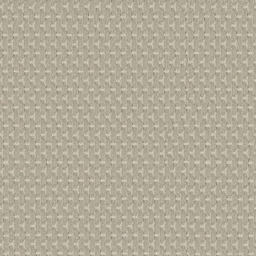 Jute