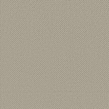 Pumice Stone