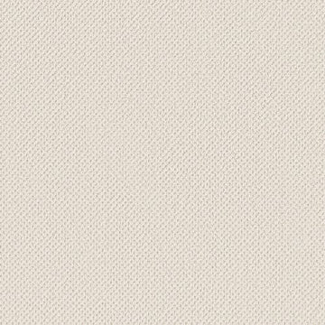 Crisp Linen