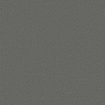 Smoky Gray