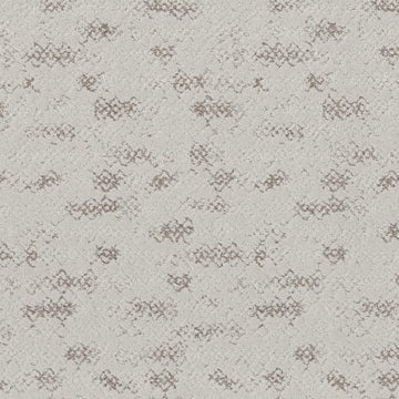 Grey Fox