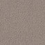 AMBITIOUS in Mocha Carpet