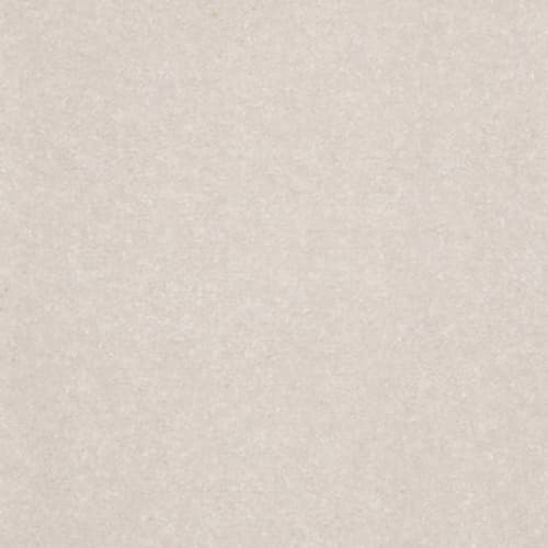 All Star Weekend II 15' in Bare Mineral Carpet