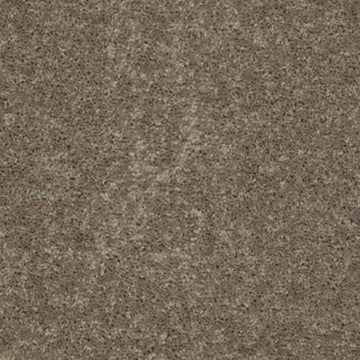 Hearth Stone