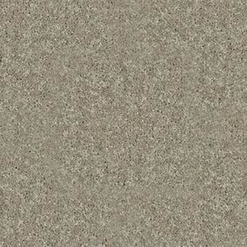 Fossil