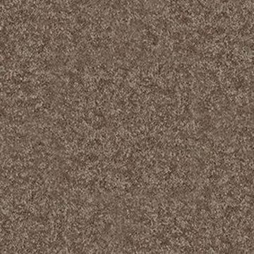 Winter Wheat