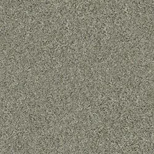 ALL SET II in Beach Walk Carpet