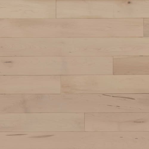 Alta Moda Solid Maple Prestige 3.25" in Chiffon 3.25" Hardwood