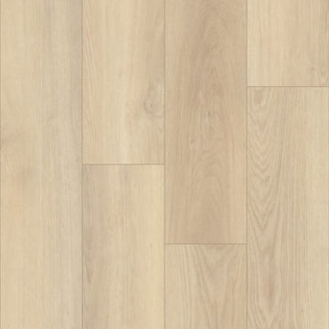 Flanders Oak
