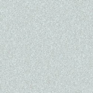 Sheer Silver