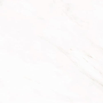 Snow 12"x24"
