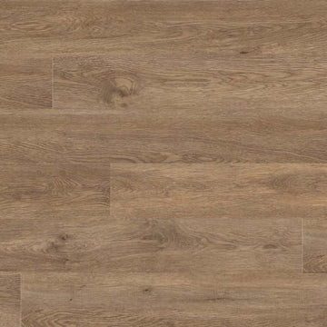 Saddle Oak