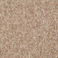 No Limits 22 in Potential Carpet