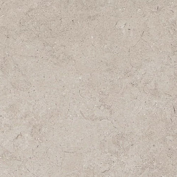 Light Gray 12"x24" Matte