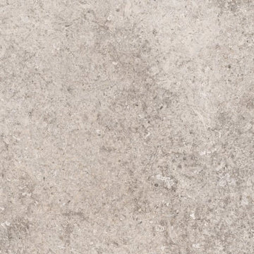 Taupe 12"x24"