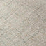 Pasadena in Frost Carpet