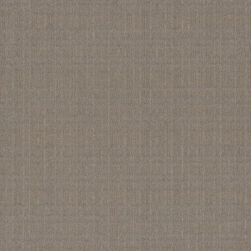 Sahara