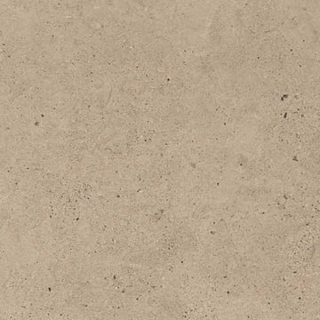 Taupe 12"x24" Tx