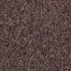 PRIVILEGED 26 in Henna Spice Carpet