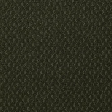 Tall Evergreen