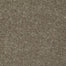 Knockout II 15' in Sequoia Carpet