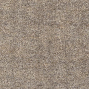 Buckskin