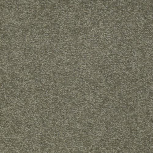 Sandy Hollow III 15' in Alpine Fern Carpet