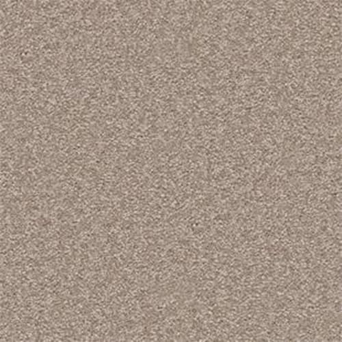 Bright Spirit II 15' in Chinchilla Carpet