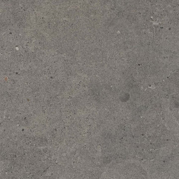 Dark Gray 12"x24" Tx