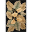 TROPICS TS08 Flooring by Nourison