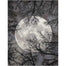 Twilight TWI17 Flooring by Nourison