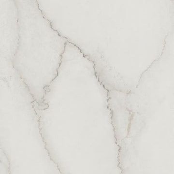 Calacatta Centennial 12 X 24