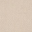 Value Loop II in 171 Carpet