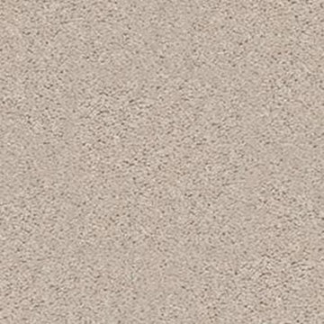 Blushed Beige