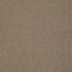 Casual Mood in Saddle Blanket Carpet