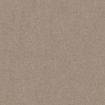 Cement