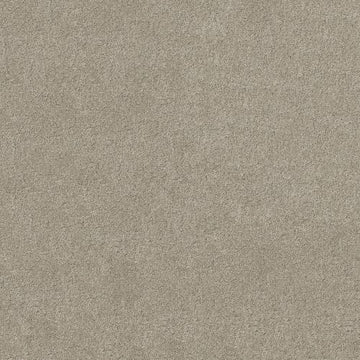 Silver Leaf