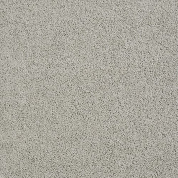 Gray Whisper